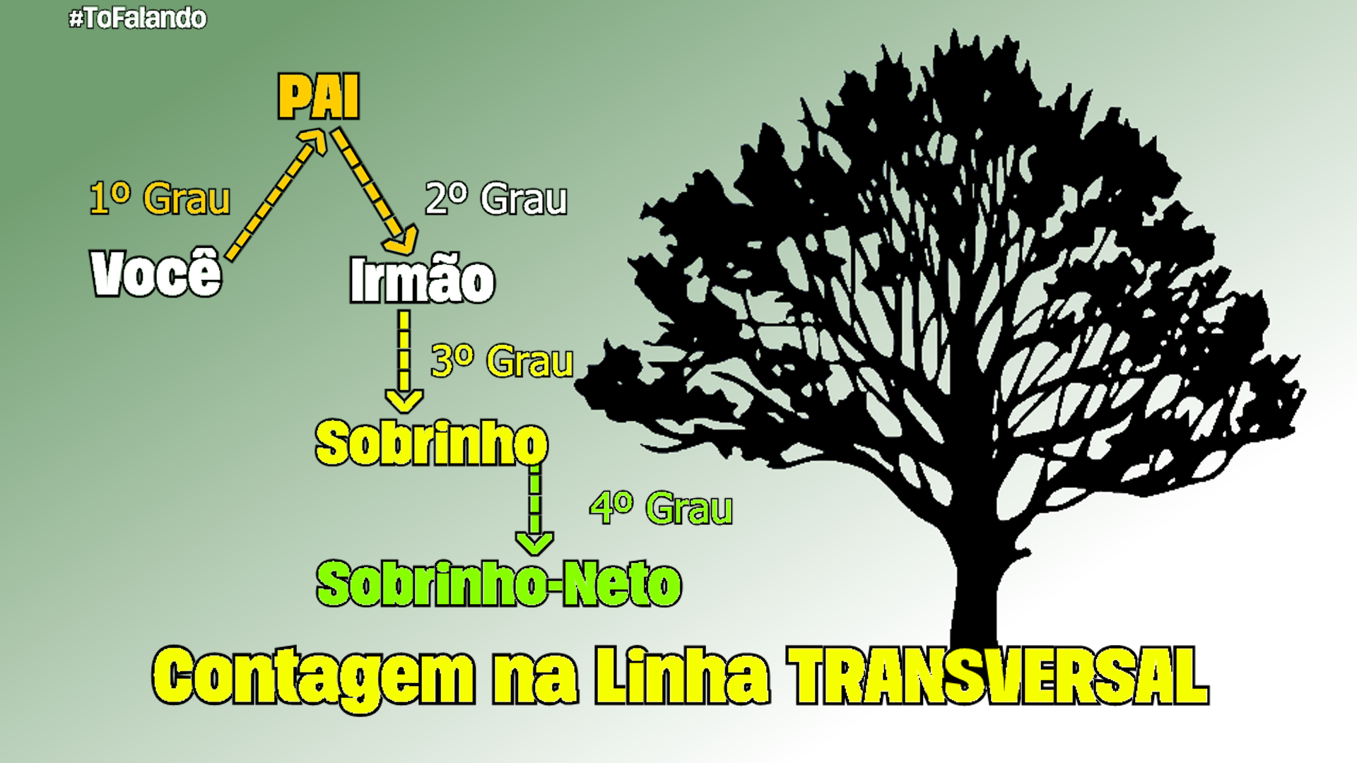 Você sabia que não existe primo de 2º grau? - TPC Notícias
